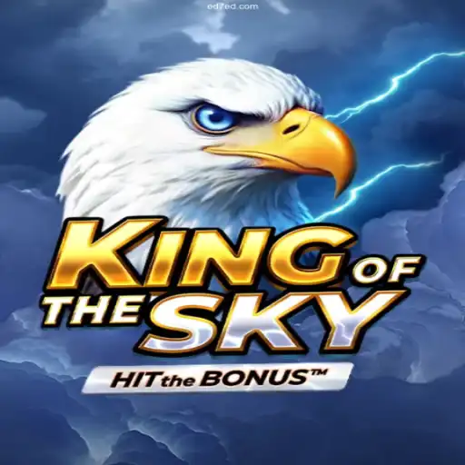 Exploring the High-Flying Adventure of KingOfTheSky