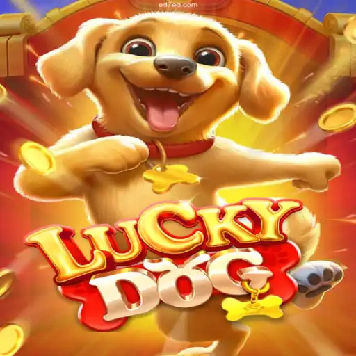 Exploring the World of LuckyDog and the Trusted ED7BET Casino